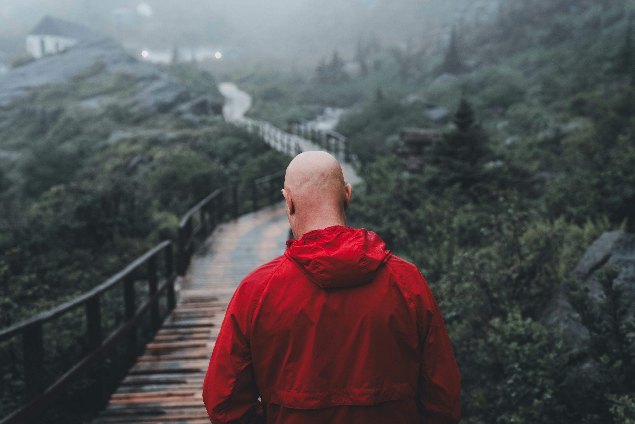 Addiction recovery path