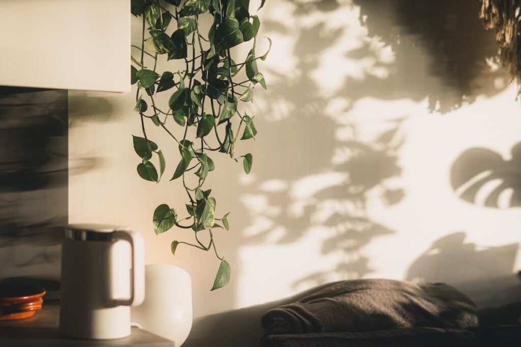 Quiet home interior in soft morning light, representing the calm setting of an in-home medical detox